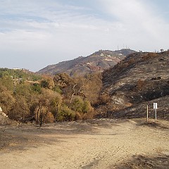 SM and rainbow creek trail intersection after 2007 fire